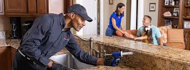 Best Real Estate Pest Inspections  in Benton Harbor, MI